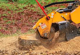 Pest Control for Lawns in Claypool, AZ